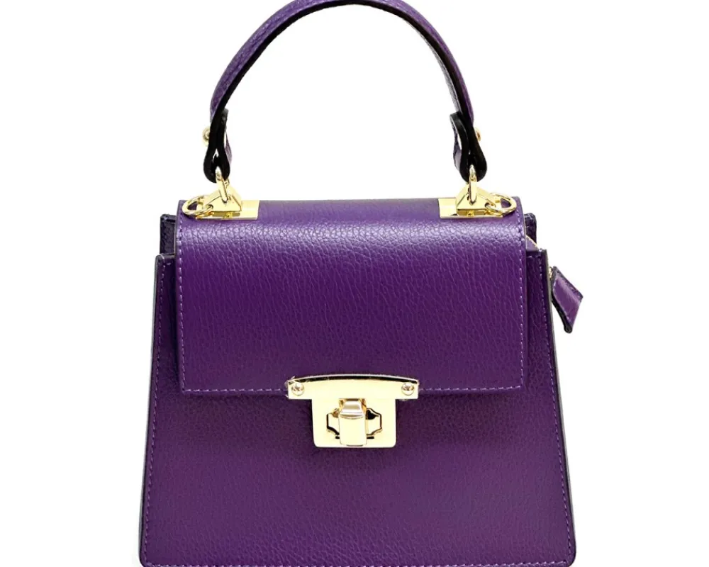 Cirilla leather handbag*Florence Discount